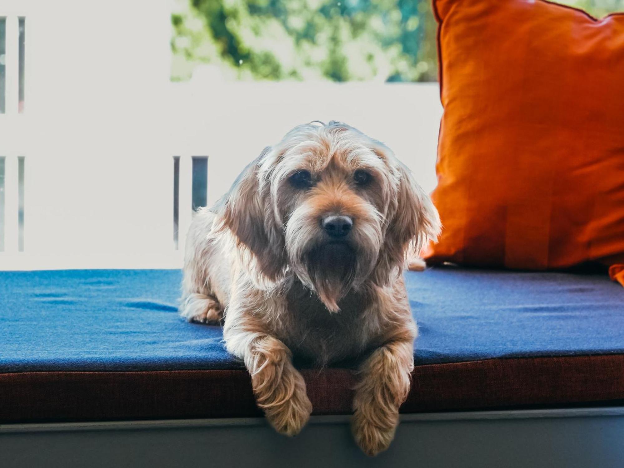 Executive Room,1706532219:JPEG