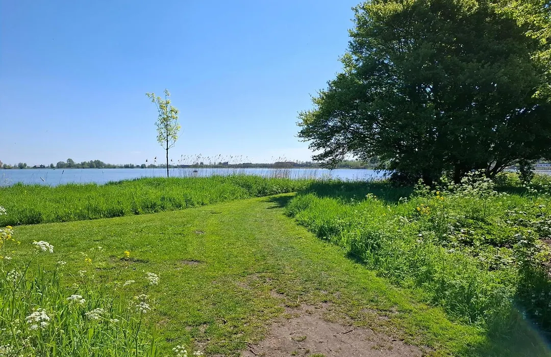 Sweetlake-1